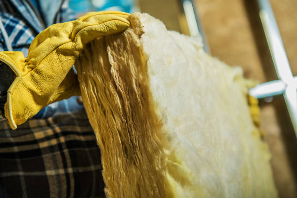 Best Energy Efficiency Insulation in La Grange Park, IL