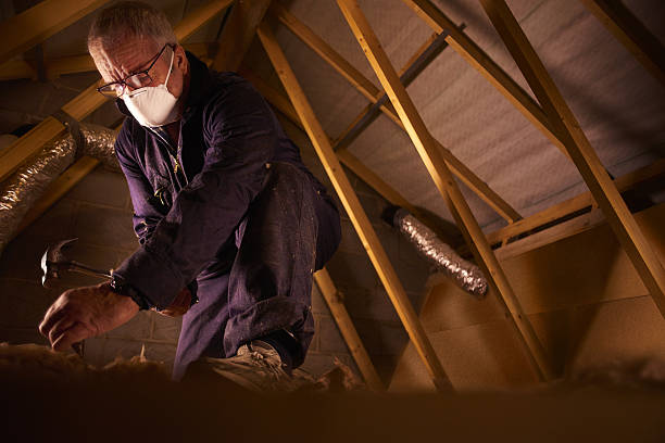 Best Eco-Friendly Insulation in La Grange Park, IL