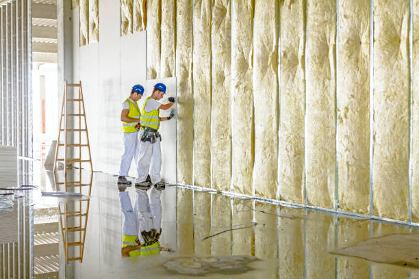 Best Spray Foam Insulation in La Grange Park, IL